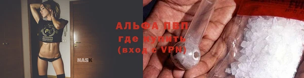 индика Абдулино