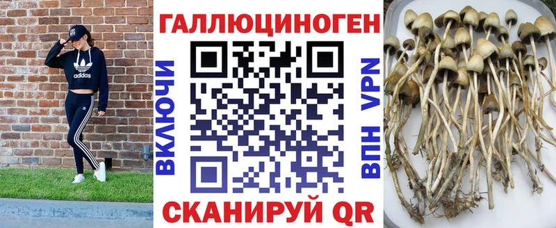 Псилоцибиновые грибы прущие грибы  магазин продажи наркотиков  Алушта 